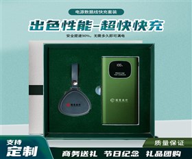 充电宝定制+数据线套装|实用的员工礼品