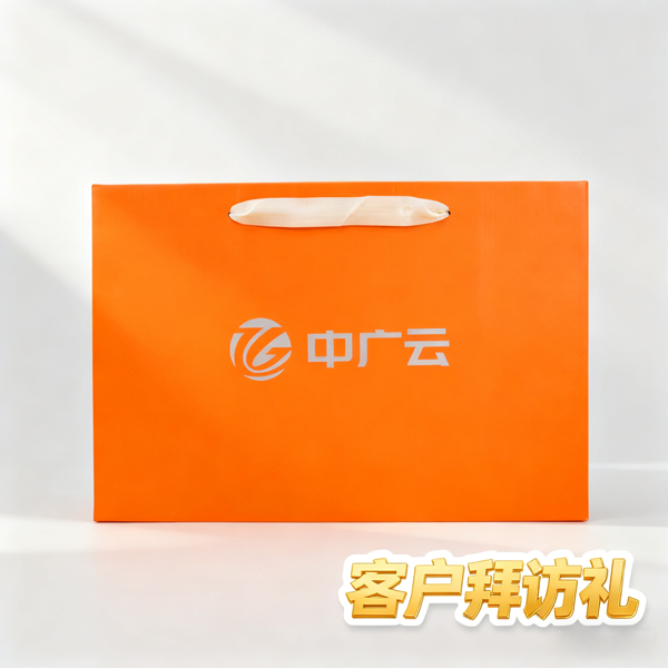 客户拜访礼品 (5)