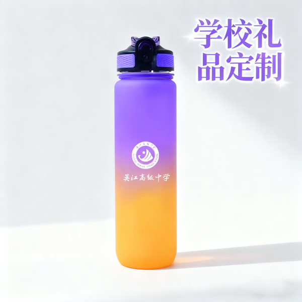 学校礼品定制 (1)
