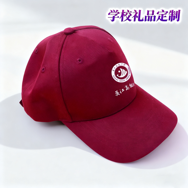 学校礼品定制 (3)